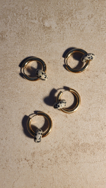 Creole mit Dalmatinerjaspis