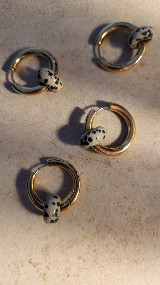 Creole mit Dalmatinerjaspis