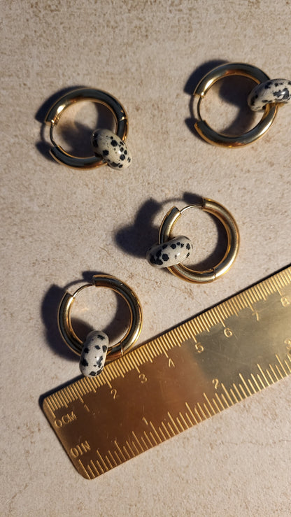 Creole mit Dalmatinerjaspis